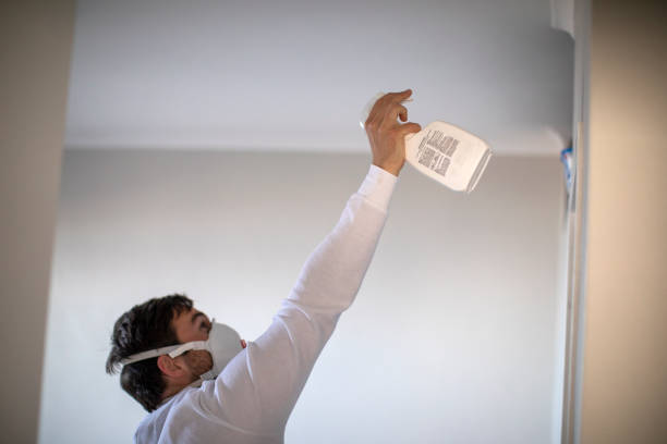 Mold Removal and Inspection in Gainesville, VA