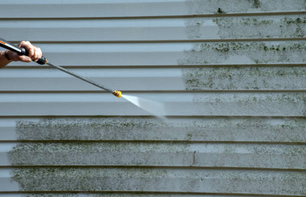 Best Commercial Mold Removal  in Gainesville, VA
