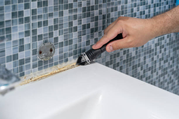 Best Mold Cleaning Services  in Gainesville, VA