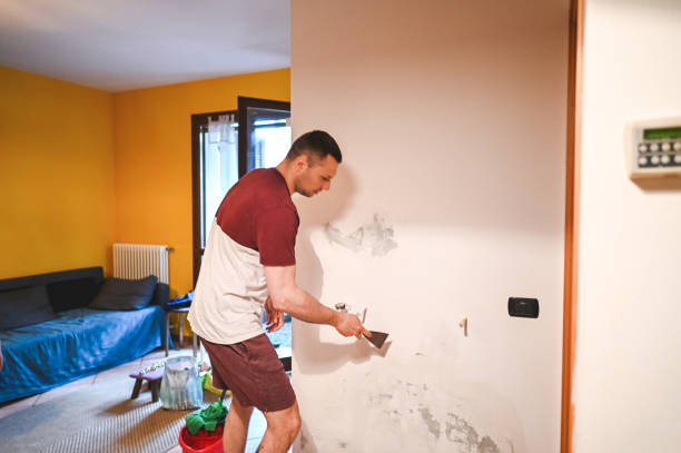 Best Fast Mold Removal  in Gainesville, VA
